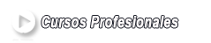 Cursos Profesionales