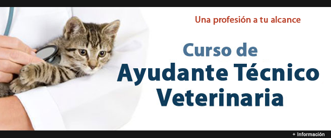 Oposiciones a Correos
